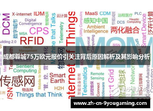 成都蓉城75万欧元报价引关注背后原因解析及其影响分析 成都蓉城75万欧元报价引关注背后原因解析及其影响分析