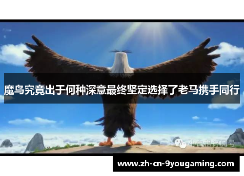 魔鸟究竟出于何种深意最终坚定选择了老马携手同行 魔鸟究竟出于何种深意最终坚定选择了老马携手同行